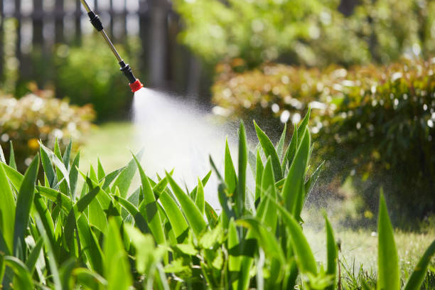24/7 Emergency Termite Control experts in Baltic, CT